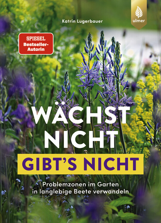 Wächst nicht gibt"s nicht